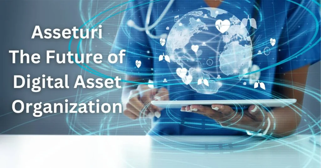 Asseturi Unveiled: Navigating the Landscape