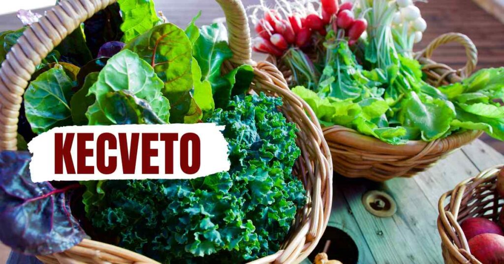 Understanding "kecveto" and Boosting SEO: A Comprehensive Guide
