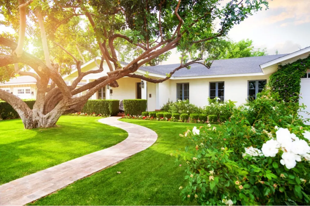Revitalize Your Outdoor Space: A Guide to Deep Cleaning Your Yard