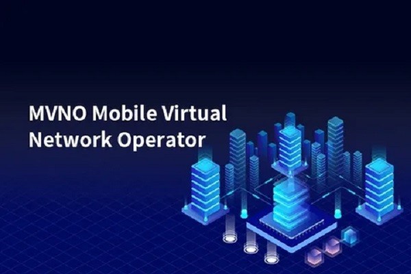 Insights into Mobile Virtual Network Operators (MVNOs)