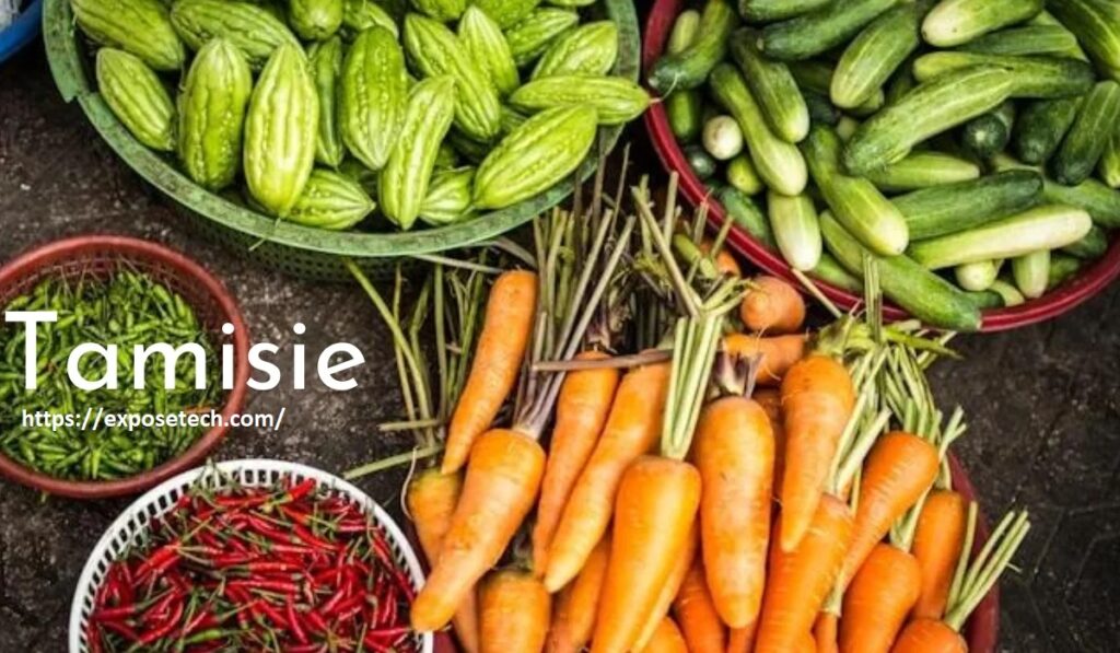 Tamisie: Unveiling the Secrets of a Hidden Gem