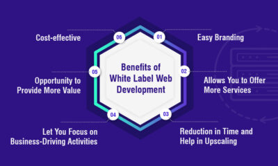 Understanding the Benefits of White Label Email Marketing for Agency Growth