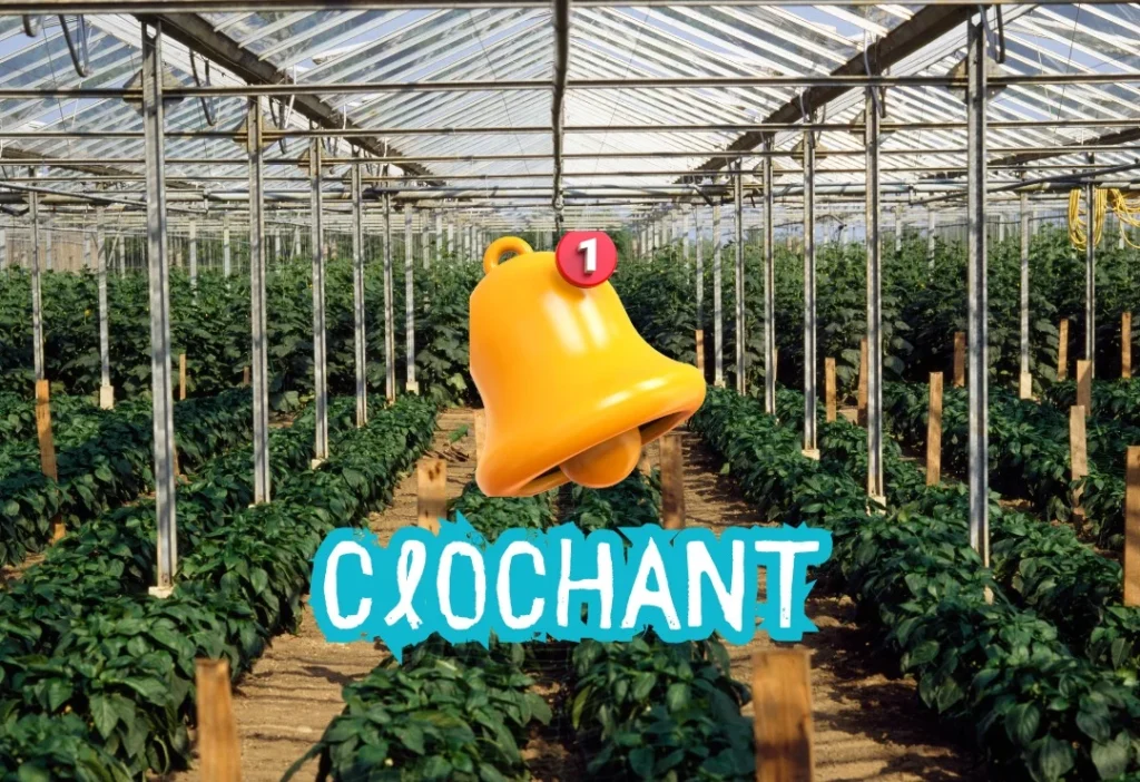 Clochant: A Comprehensive Exploration