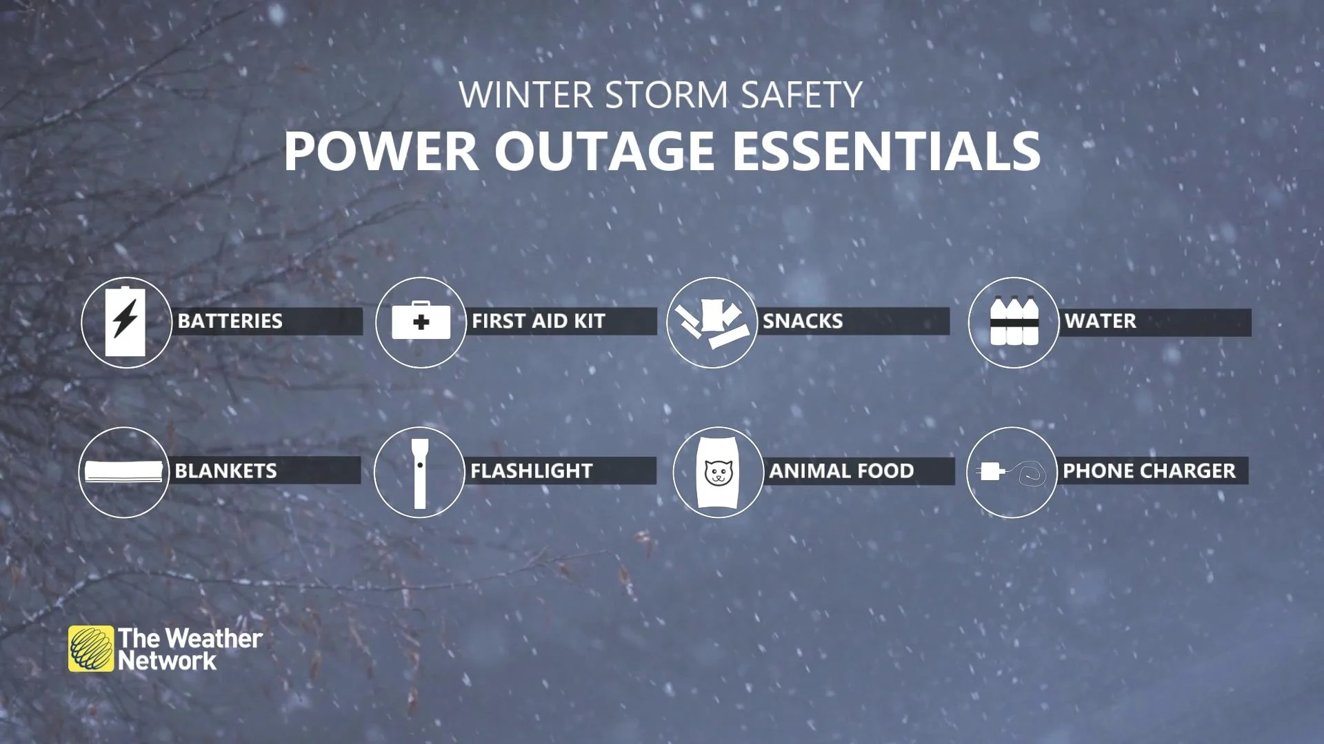 How to Keep Your Valuables Safe During Power Outages and Storms