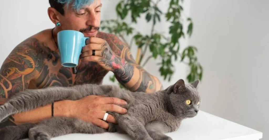 Understanding Cat CBD Oil: The Essential Ingredients for Your Pet’s Wellness