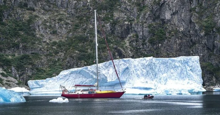 Antarctic Adventures: Thrilling Kayaking and Whale Encounters at the World’s End