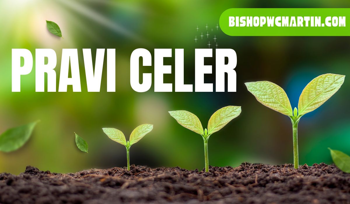 Understanding “pravi celer” (garden celery)