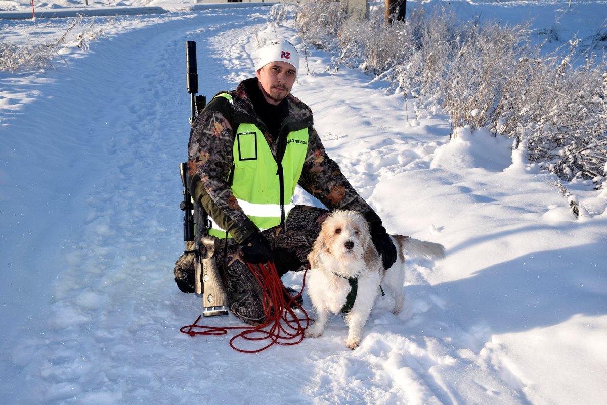 Unpacking the Viltnemnda 1000: Norway's Revolutionary Wildlife Compensation System